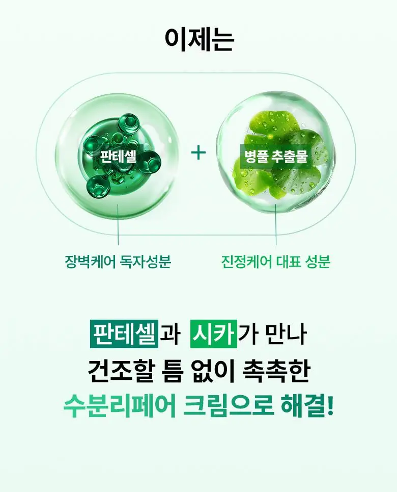 [수분진정] 바이오힐보 판테셀 리페어시카 크림 50ml (단품/리필기획) 상세페이지 15